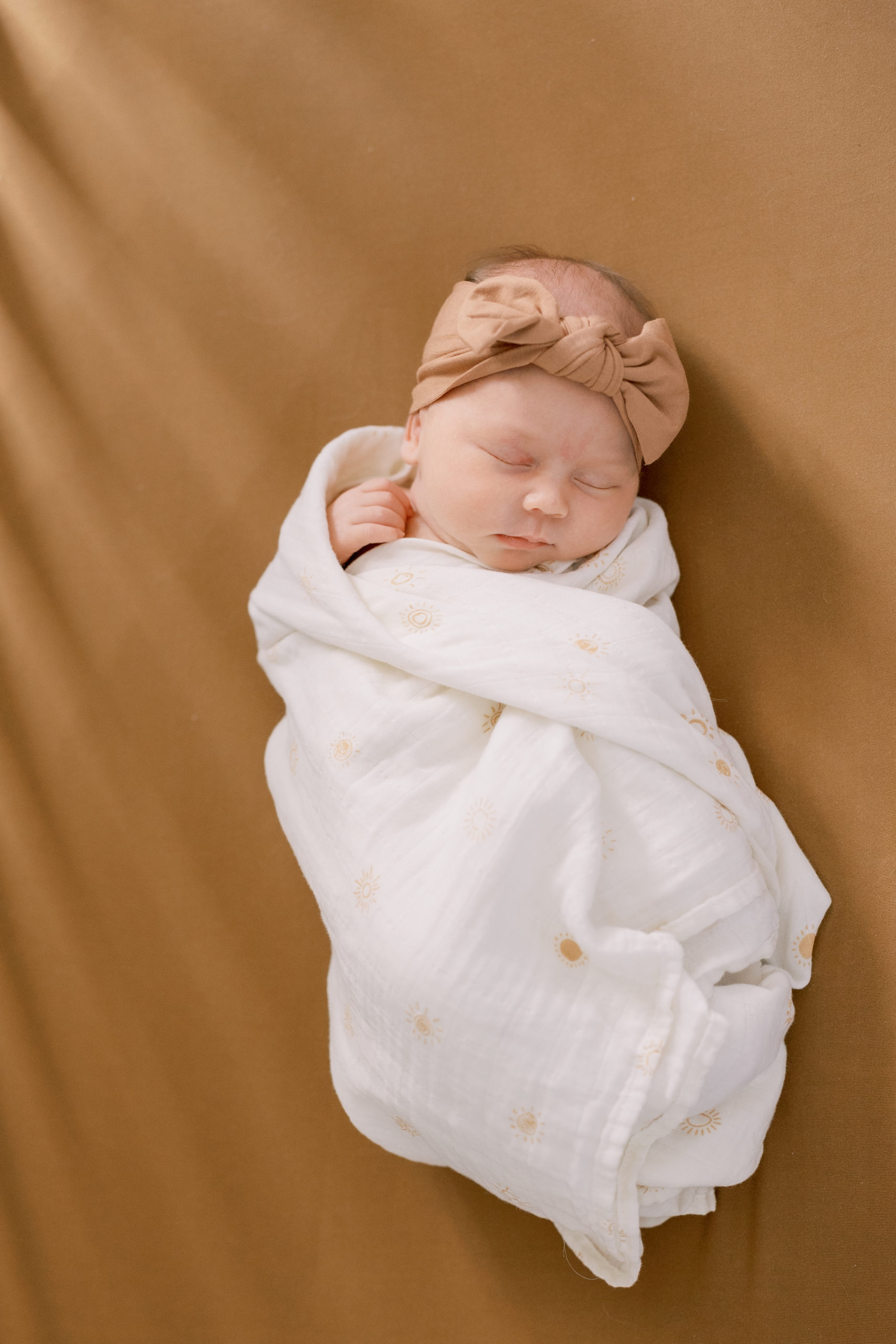 newborn session in harrisbug, PA